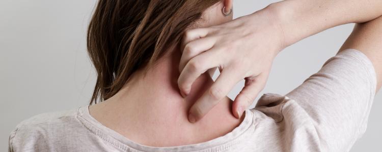 main of Avoid Misinformation About Shingles