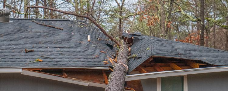 main of hen a Roof Becomes Damaged, Repairs Can't Wait A Long Time (yellowise)